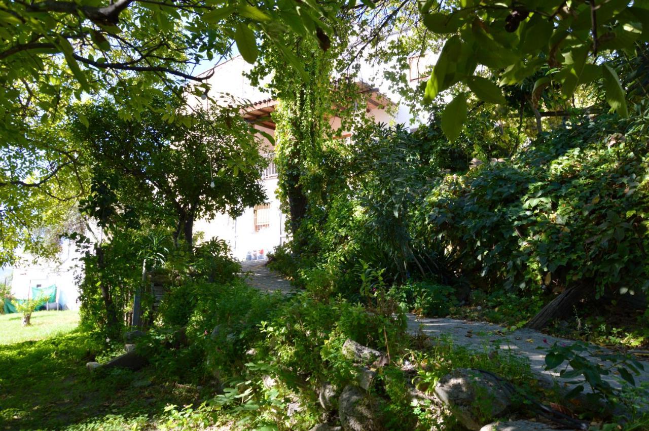 Ecoalbergue Rural De Алгодоналес Екстериор снимка